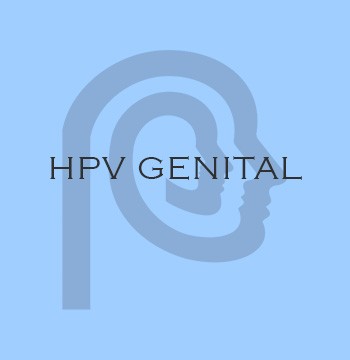 HPV GENITAL